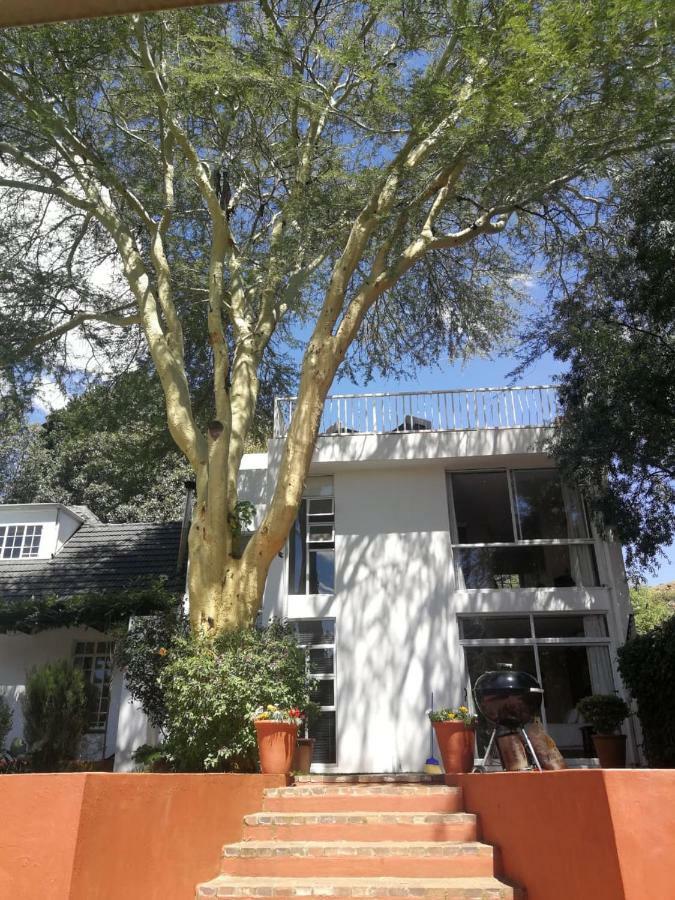 Fever Tree Suites Johannesbourg Extérieur photo
